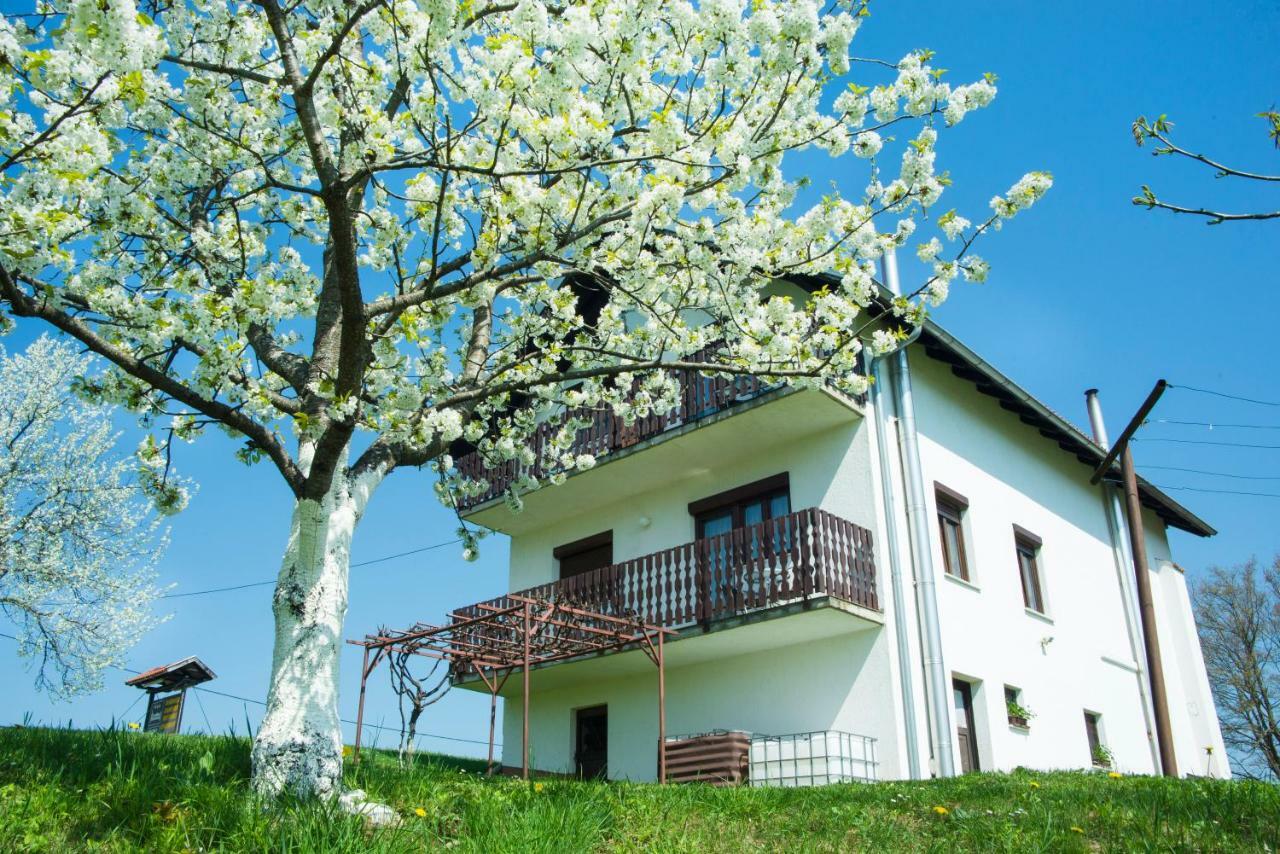 Hôtel House Spehar à Selište Drežničko Extérieur photo